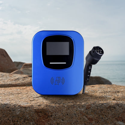 Snorkel (Display-Unit Special)